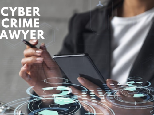 cyber crime lawyer