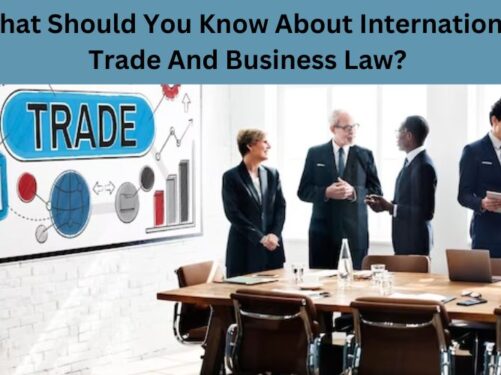 indian international lawyers