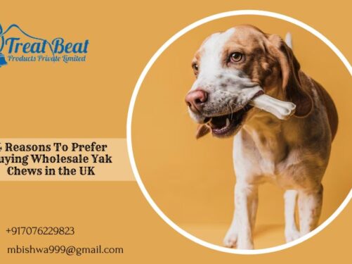 Dog Treats Wholesale Suppliers
