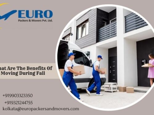 Packers and Movers