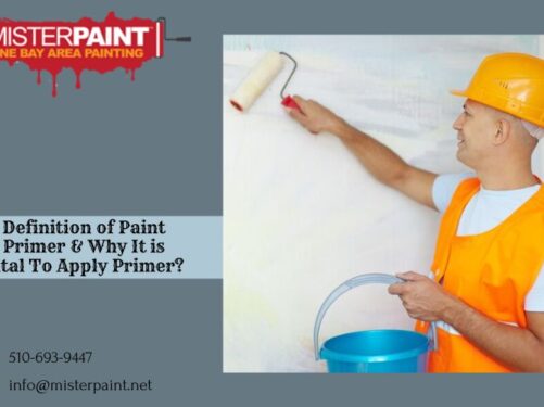 House Painters Near Me