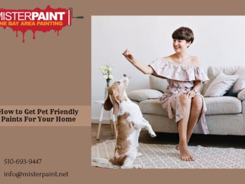 Painting Services Near Me