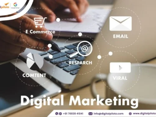 Top Seo Service Jaipur