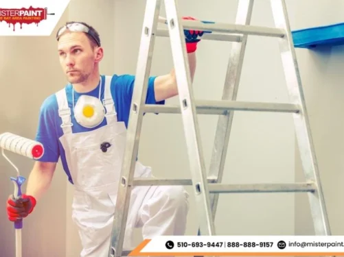 Interior House Painters