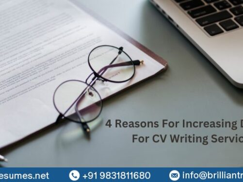 cxo premium resume writing in delhi