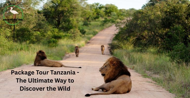 tanzania safari tours