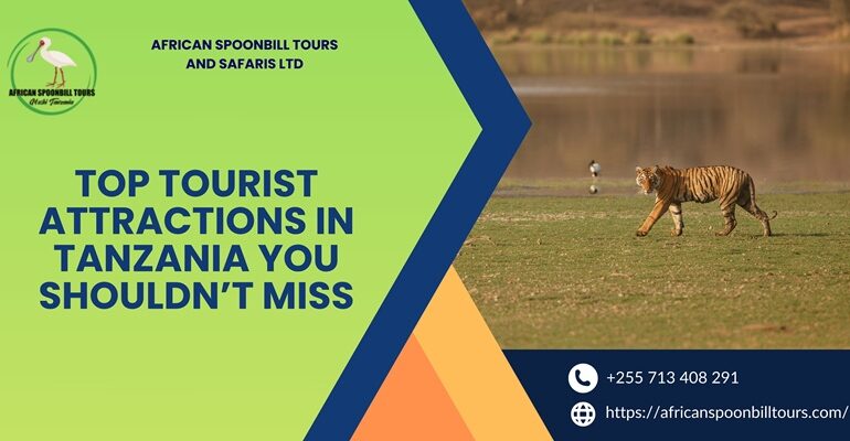 Tanzania safari tours