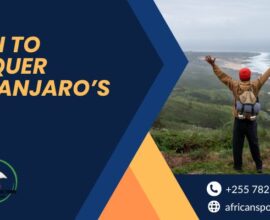 Kilimanjaro trekking packages