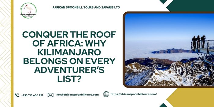 Mount Kilimanjaro Climbing Tours