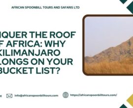 best time to climb kilimanjaro