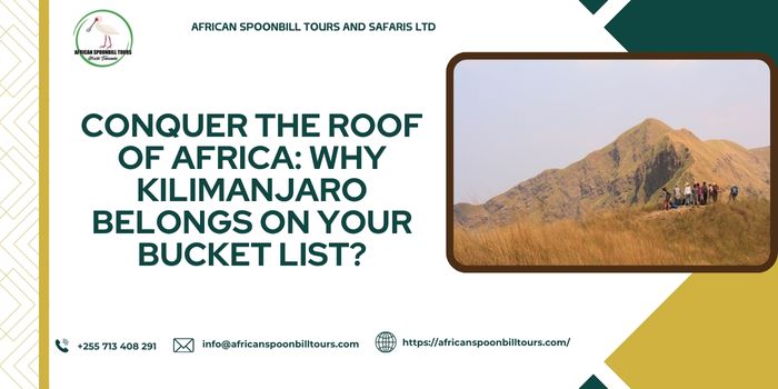 best time to climb kilimanjaro