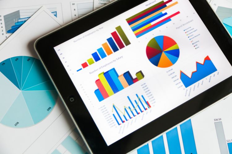 SEO Consultant In India