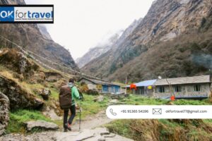 Best Tour Companies India