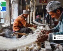 Organic Cotton Yarn Suppliers in India