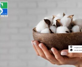 Organic Cotton Yarn Exporter