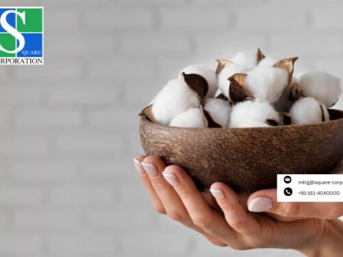 Organic Cotton Yarn Exporter