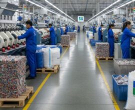 Organic Cotton Yarn Exporter