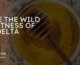 sundarban honey online shopping