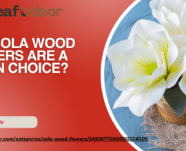 Sola Wood Flower Supplier