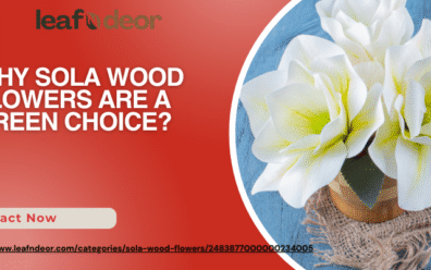 Sola Wood Flower Supplier