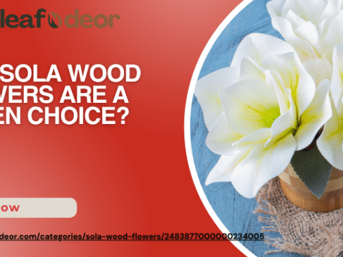 Sola Wood Flower Supplier