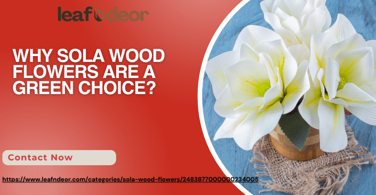 Sola Wood Flower Supplier
