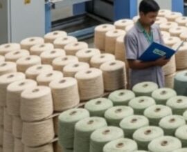 Organic Cotton Yarn Suppliers in India