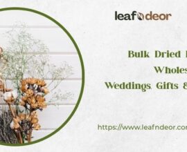 Bulk Dried Flowers Wholesale for Weddings, Gifts & Crafts