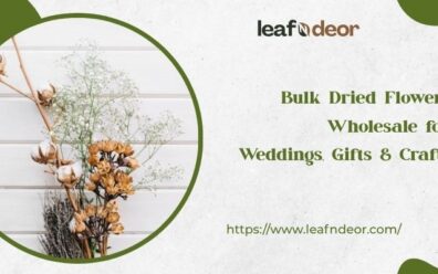 Bulk Dried Flowers Wholesale for Weddings, Gifts & Crafts
