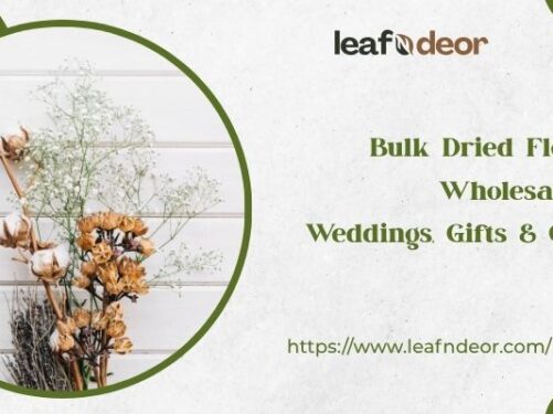 Bulk Dried Flowers Wholesale for Weddings, Gifts & Crafts