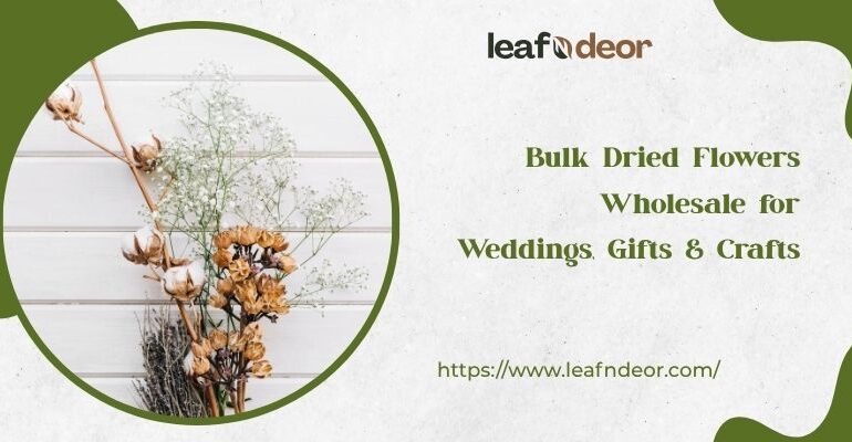 Bulk Dried Flowers Wholesale for Weddings, Gifts & Crafts