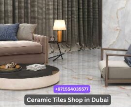 Best Ceramic Tiles for Living Room Flooring & Walls