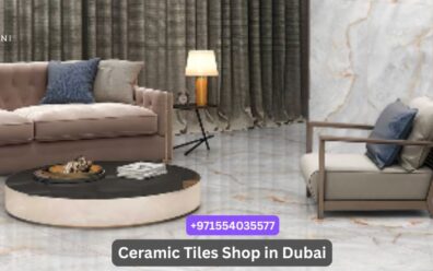 Best Ceramic Tiles for Living Room Flooring & Walls