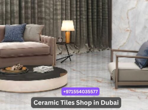 Best Ceramic Tiles for Living Room Flooring & Walls