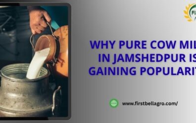 Why Pure Cow Milk in Jamshedpur Is Gaining Popularity