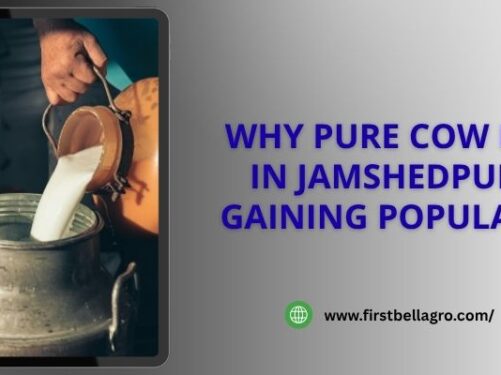 Why Pure Cow Milk in Jamshedpur Is Gaining Popularity