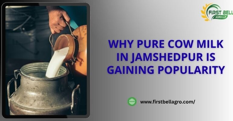 Why Pure Cow Milk in Jamshedpur Is Gaining Popularity