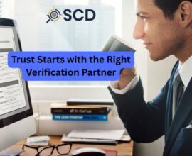Background verification agency in bangalore contact number
