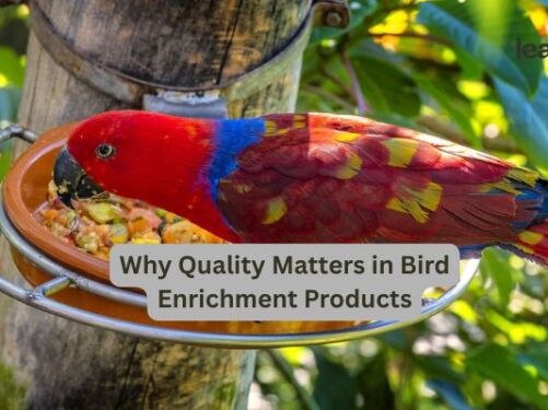 parrot toys manufacturer