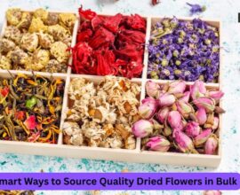 Smart Ways to Source Quality Dried Flowers in Bulk