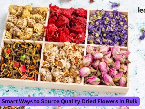 Smart Ways to Source Quality Dried Flowers in Bulk