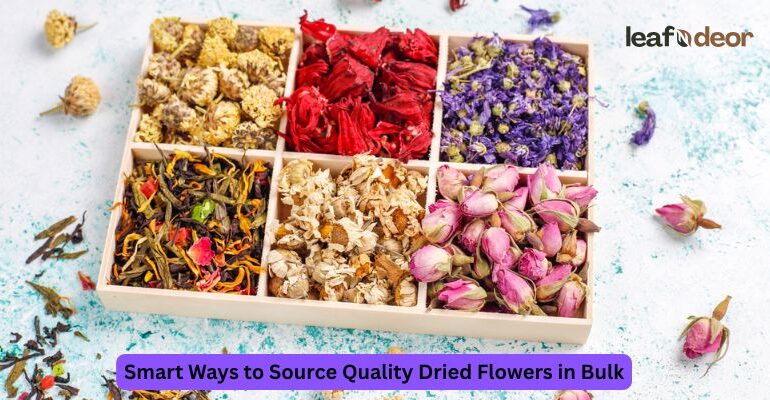 Smart Ways to Source Quality Dried Flowers in Bulk