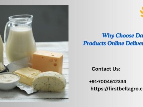 Why Choose Dairy Products Online Delivery?