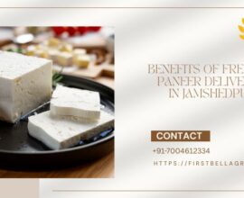Benefits of Fresh Paneer Delivery in Jamshedpur