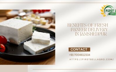 Benefits of Fresh Paneer Delivery in Jamshedpur