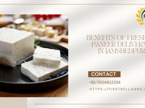 Benefits of Fresh Paneer Delivery in Jamshedpur
