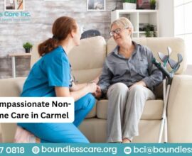 Non Medical Home Care Carmel