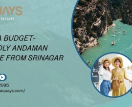 Plan a Budget-Friendly Andaman Escape from Srinagar