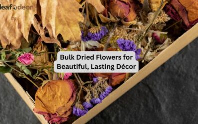 Bulk Dried Flowers for Beautiful, Lasting Décor