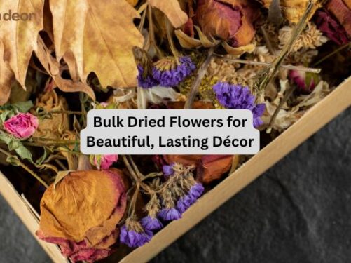 Bulk Dried Flowers for Beautiful, Lasting Décor